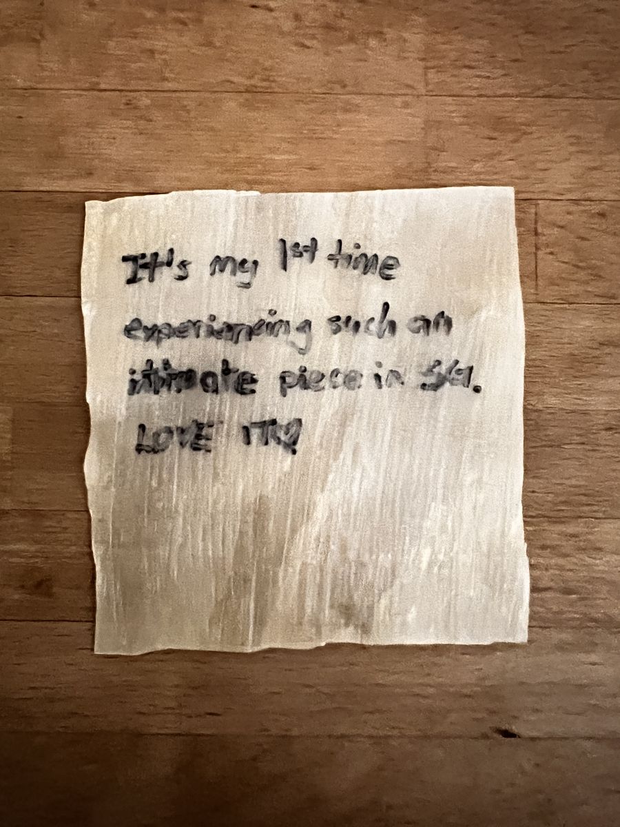 Visitor comment — It's my 1st time experiencing such an intimate piece