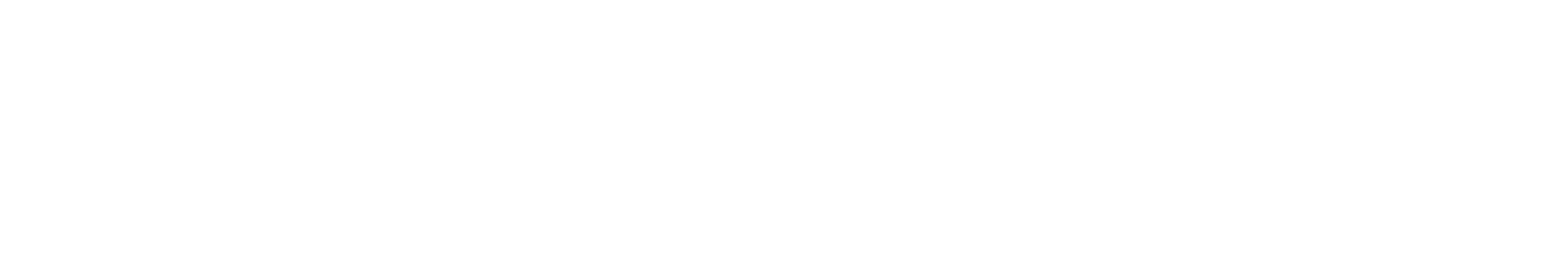House of VSE Logo